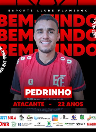 Pedrinho